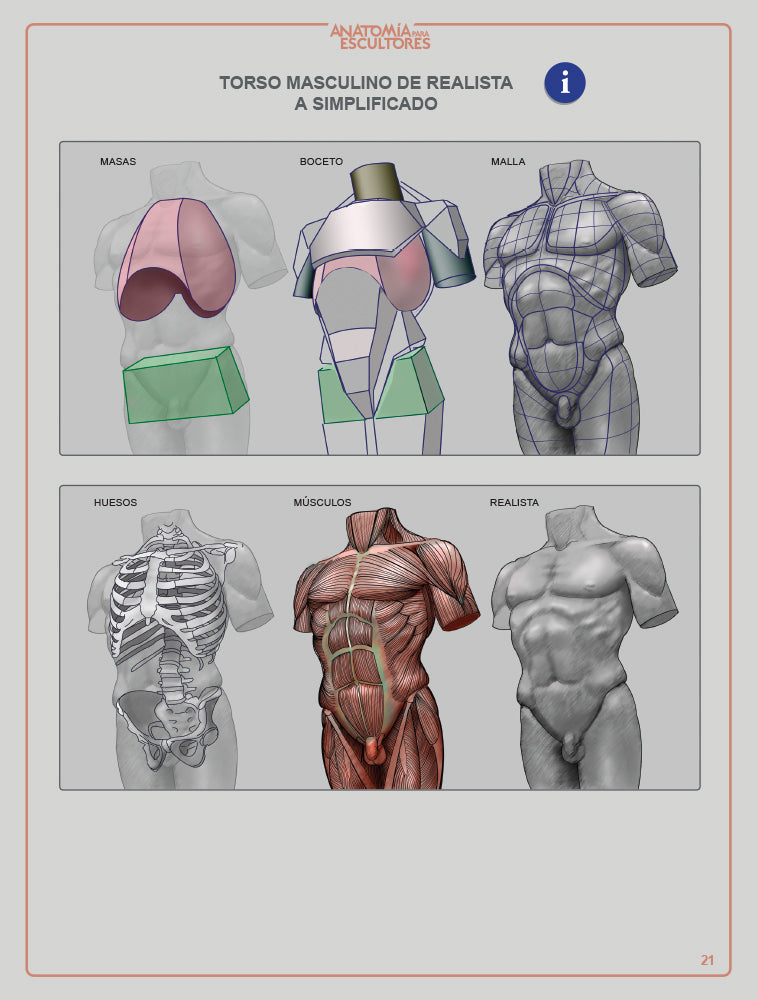 gray libro de anatomia pdf